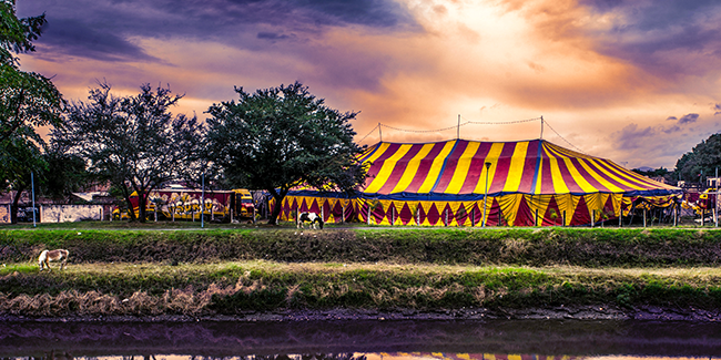 Circus tent by a river